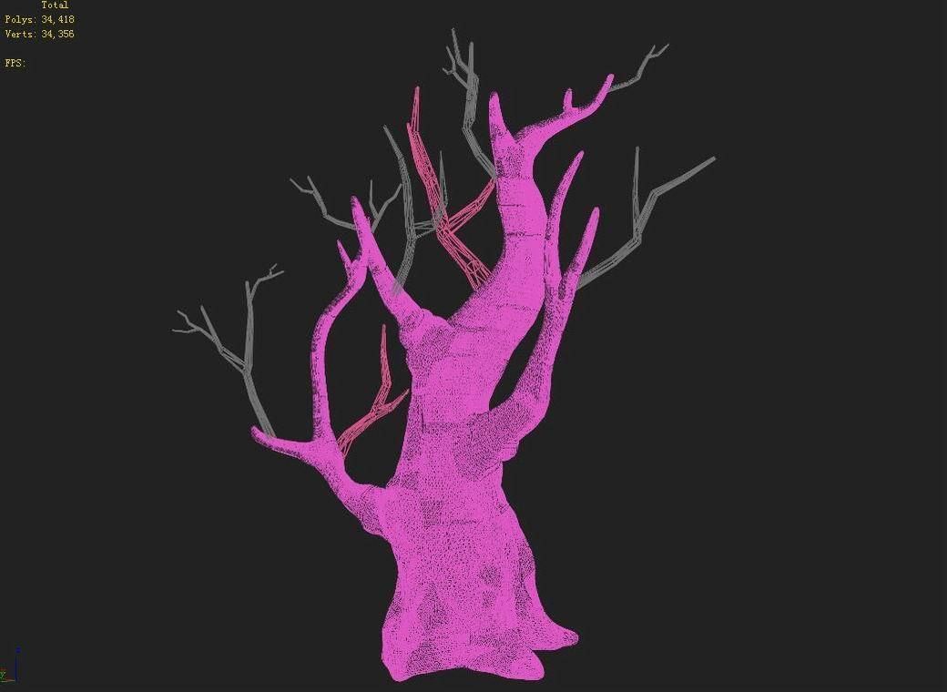 Acacia - Trunk 02 3D model_4