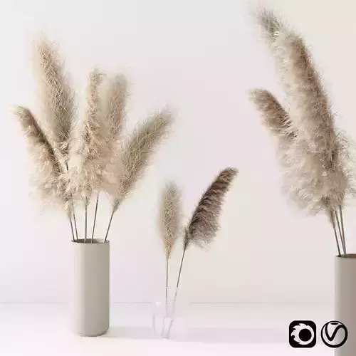 Set of pampas in vase 3D model