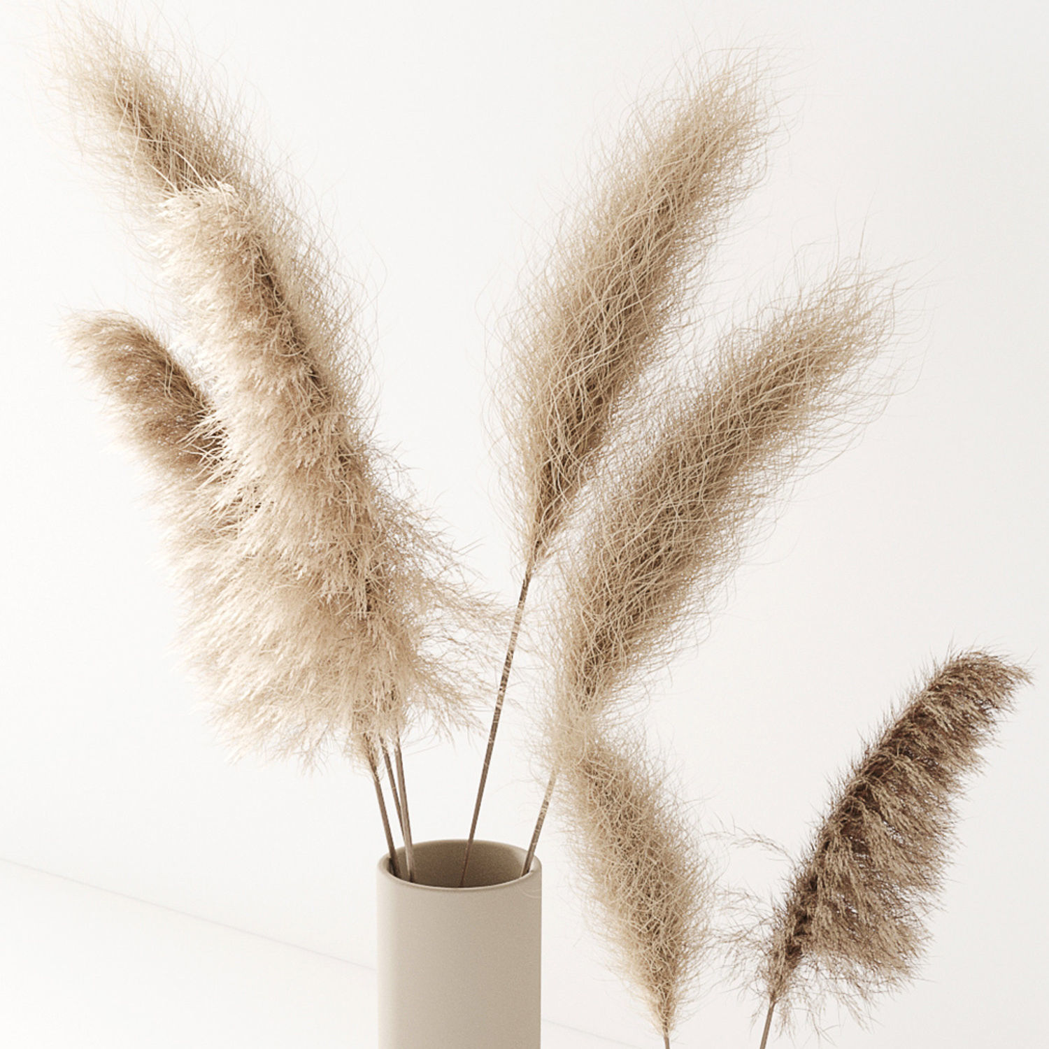 Set of pampas in vase 3D model_11