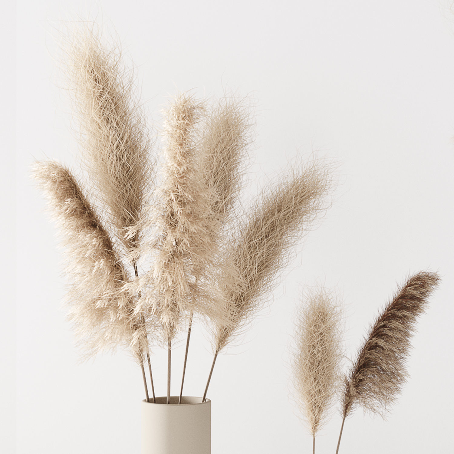 Set of pampas in vase 3D model_6