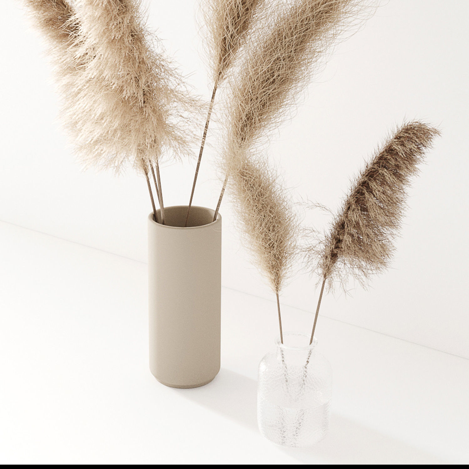 Set of pampas in vase 3D model_9