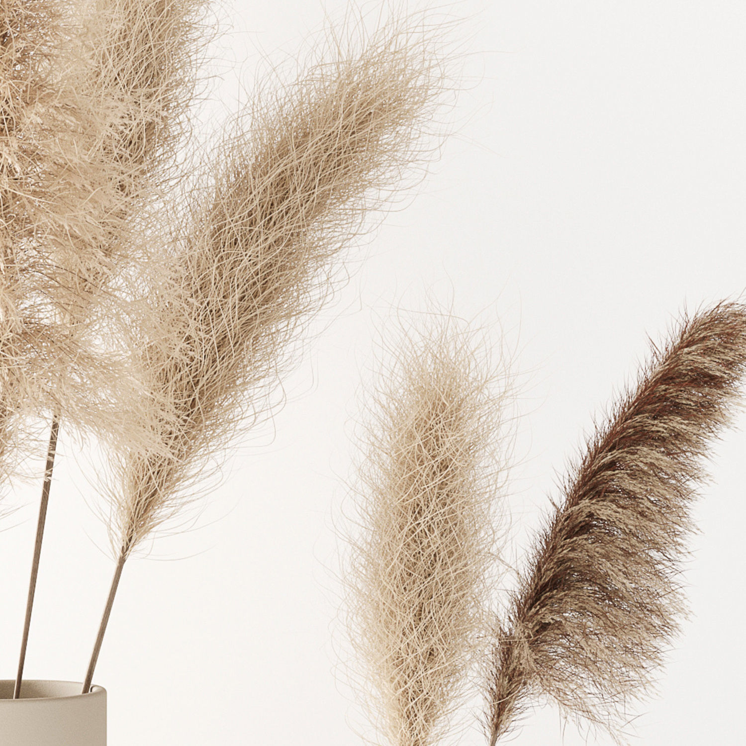 Set of pampas in vase 3D model_21