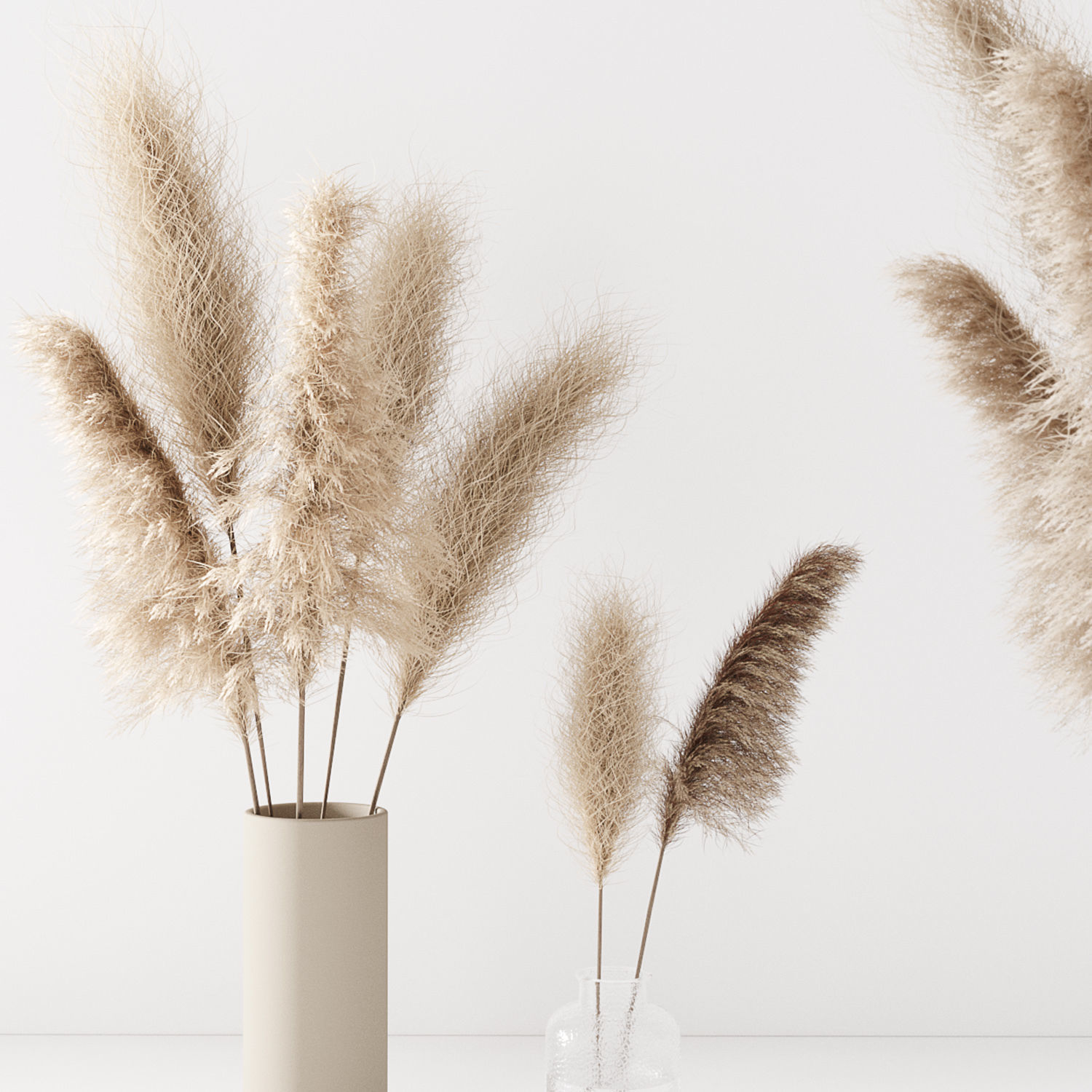 Set of pampas in vase 3D model_4