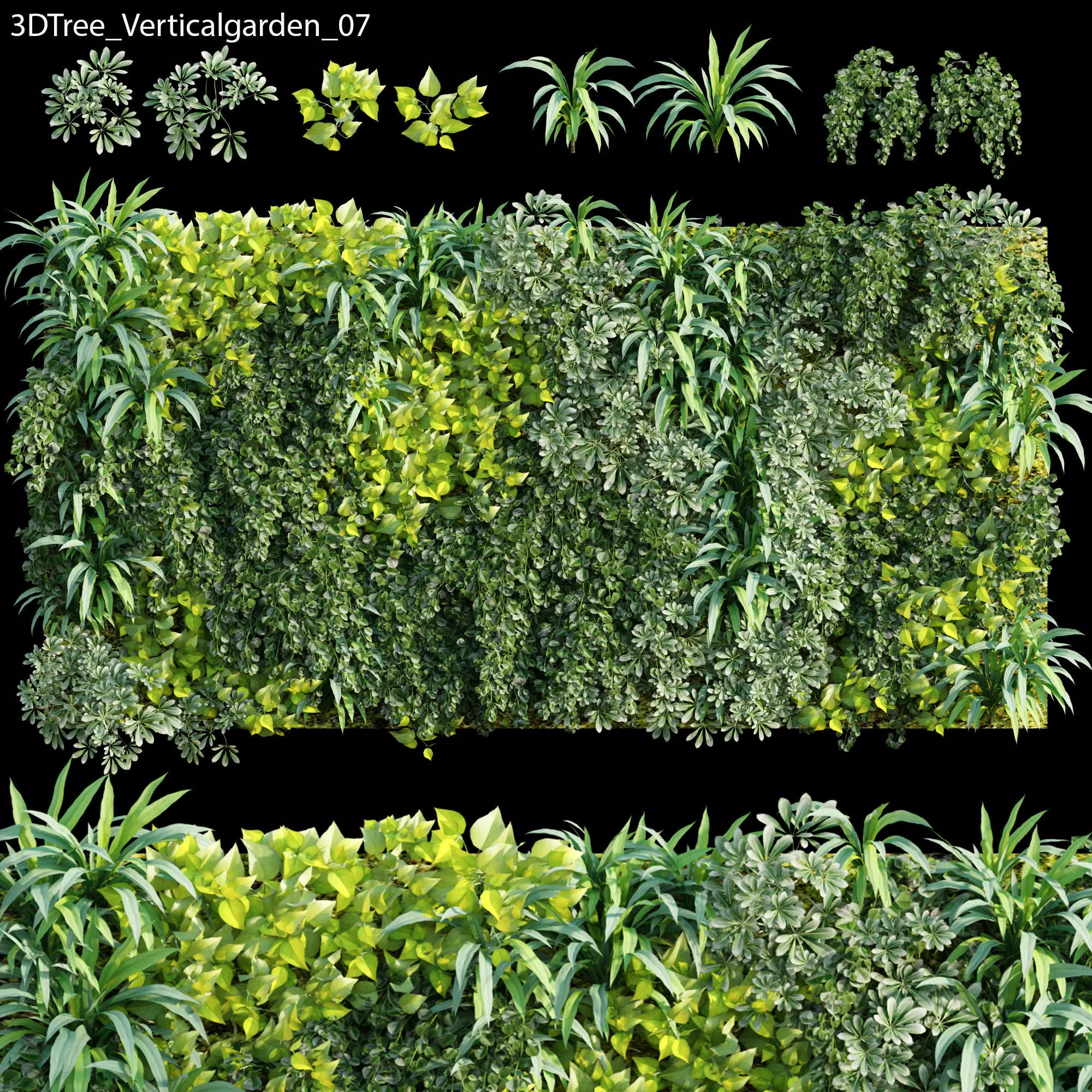 Verticalgarden - Green wall 07 3D model_0