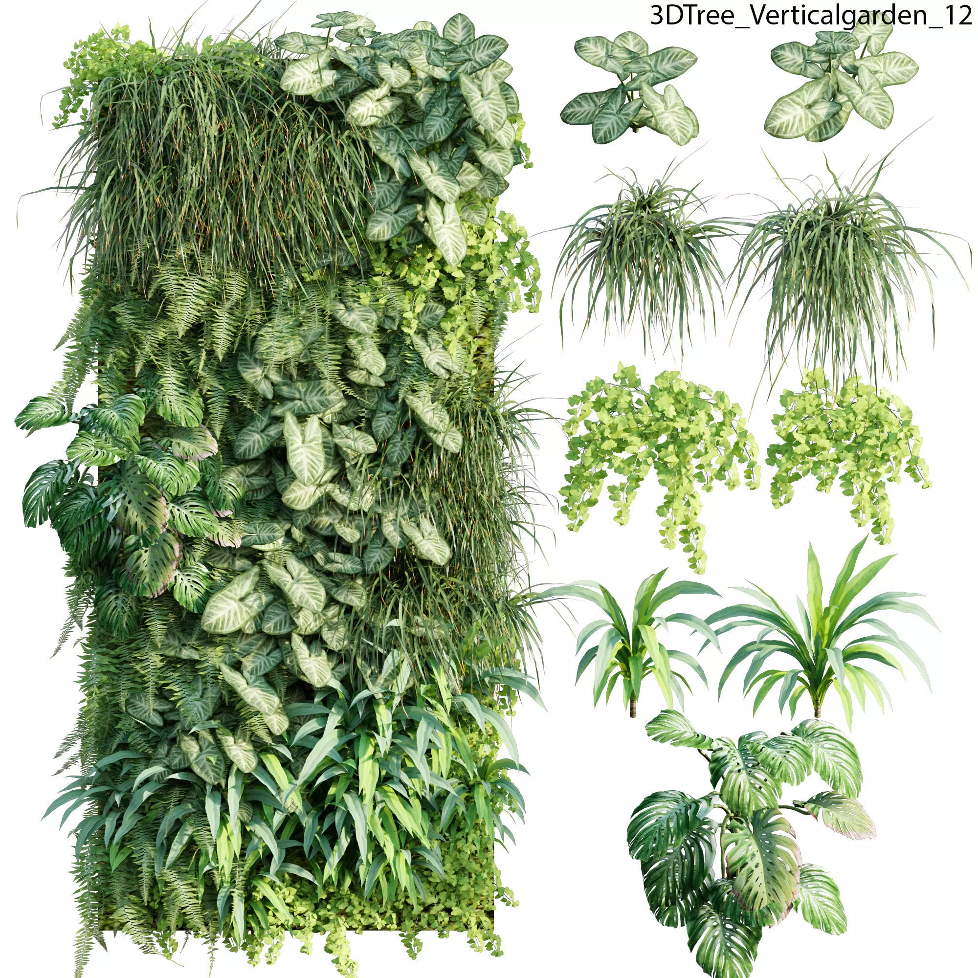 Verticalgarden - Green wall 12 3D model_0