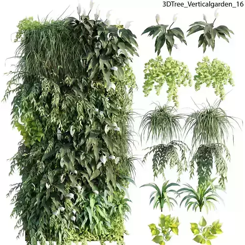 Verticalgarden - Green wall 16