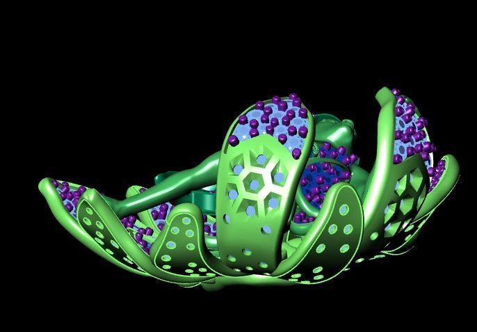 Women Necklaces  3D print model_16