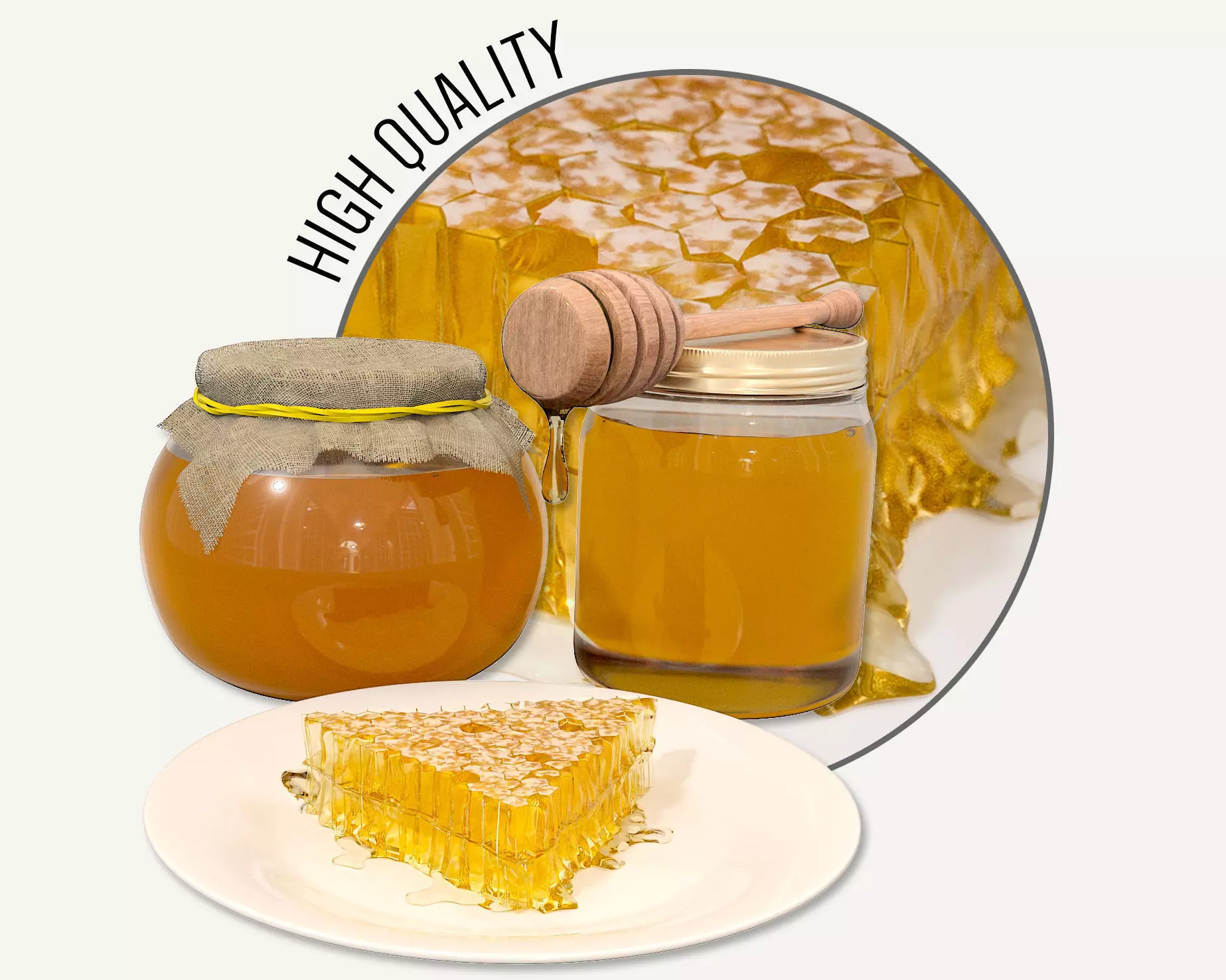 Honey slice of cake on plate 3D model_0