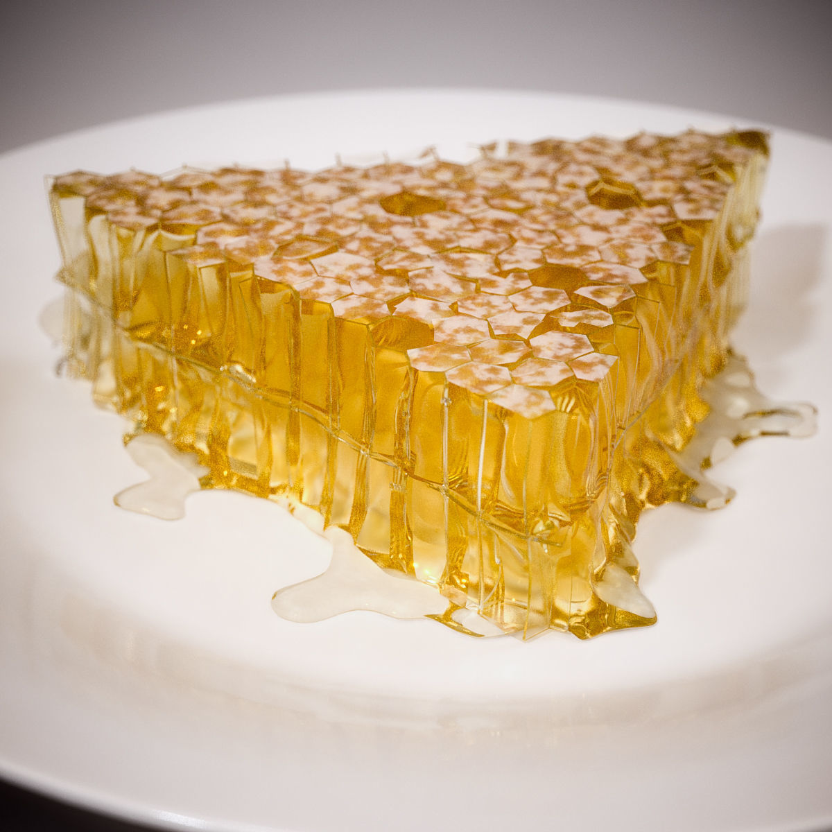Honey slice of cake on plate 3D model_2