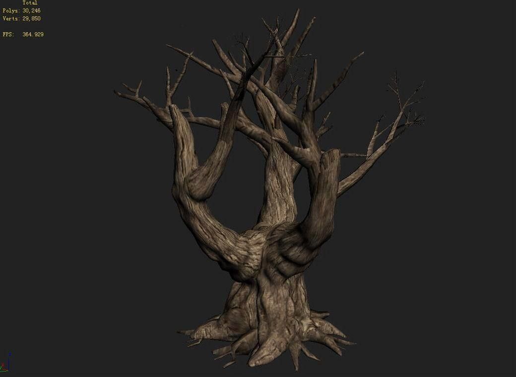 Acacia - Trunk 05 3D model_7