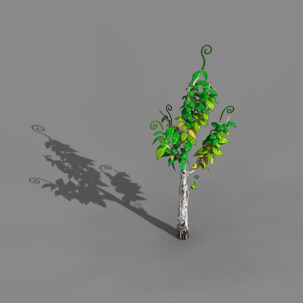 Acacia - trees 01 3D model_2