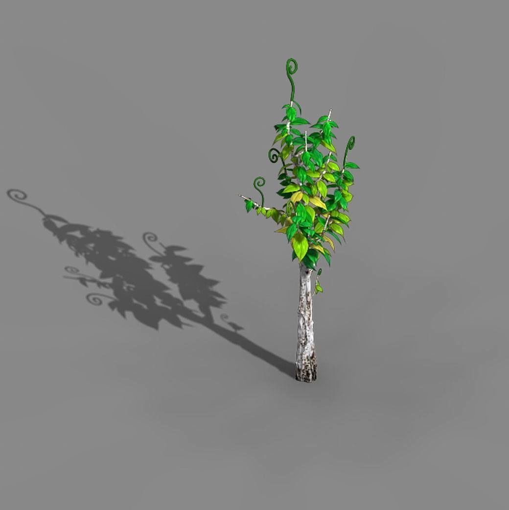 Acacia - trees 01 3D model_1