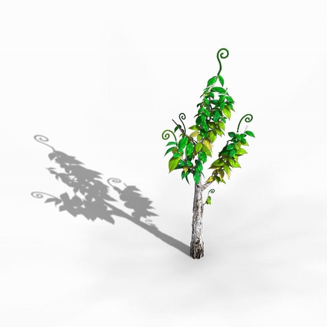 Acacia - trees 01 3D model_5