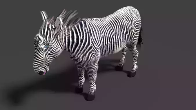 zebra 3D model