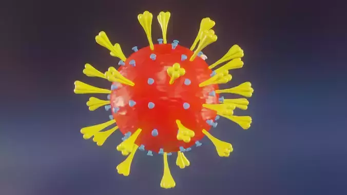 Coronavirus 3D Model