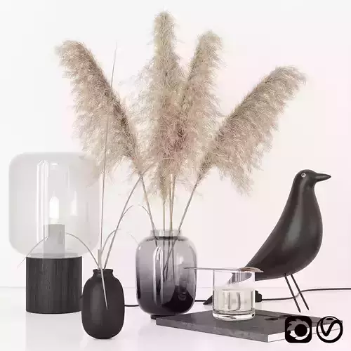 Black decorative set with pampas