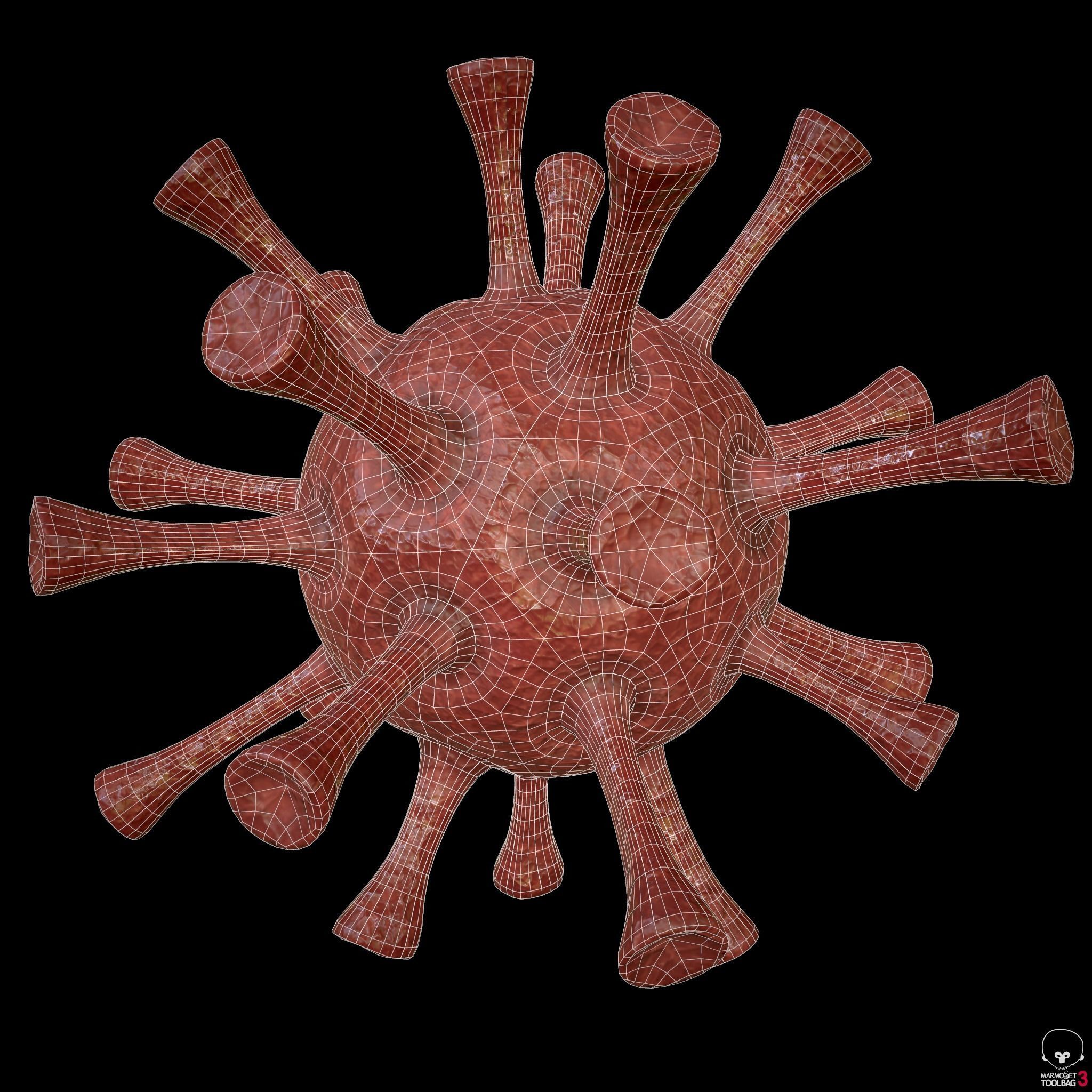 Coronavirus - PBR - Low-poly 3D model_4