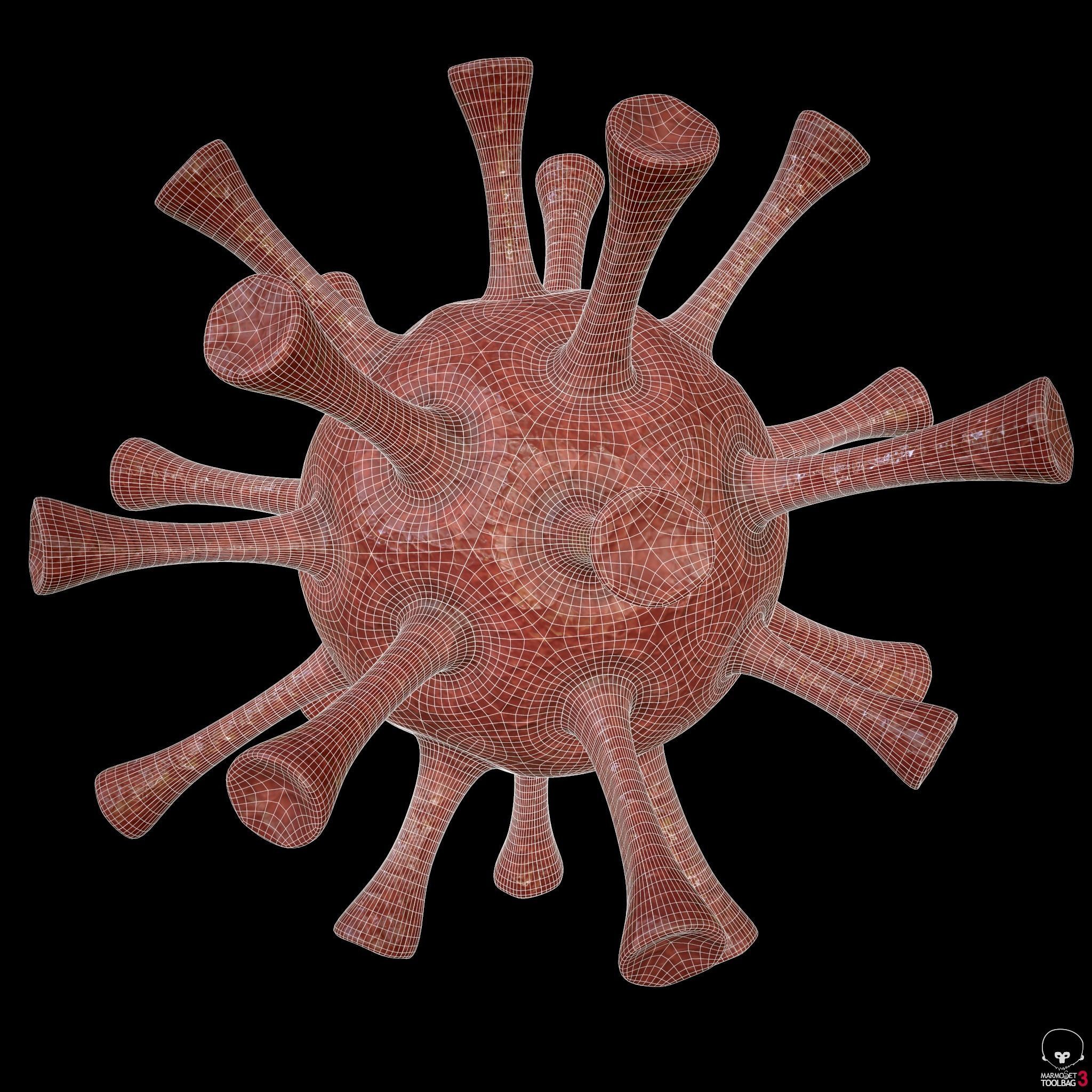Coronavirus - PBR - Low-poly 3D model_5