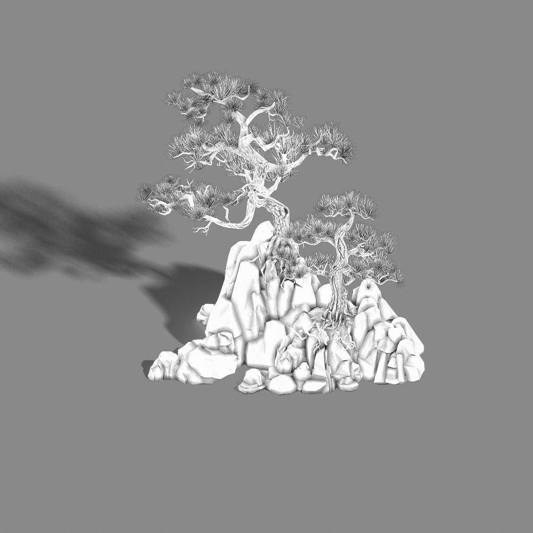 Acacia - Pine 01 3D model_2