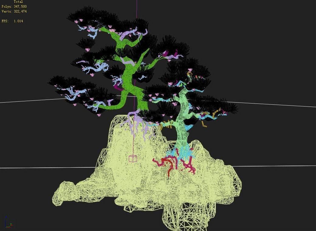 Acacia - Pine 01 3D model_3
