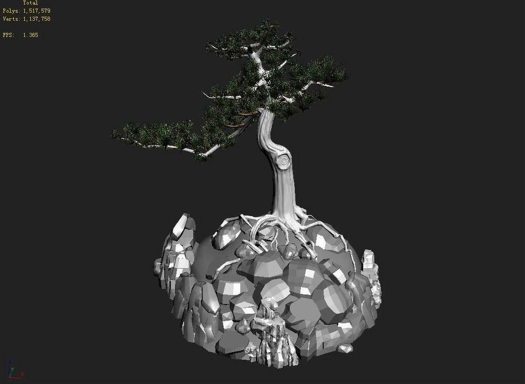Acacia - Pine 02 3D model_4