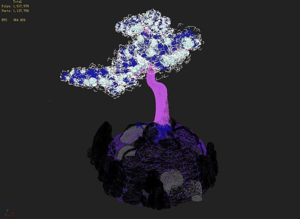 Acacia - Pine 02 3D model_5