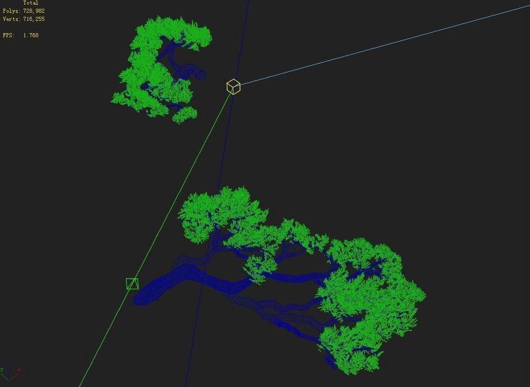 Acacia - Pine - Foliage 01 3D model_9