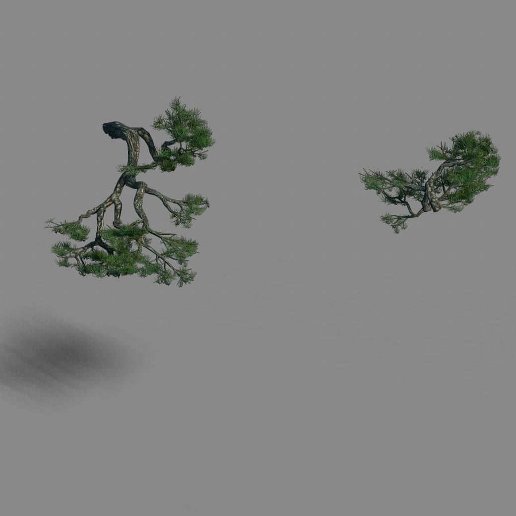 Acacia - Pine - Foliage 01 3D model_2