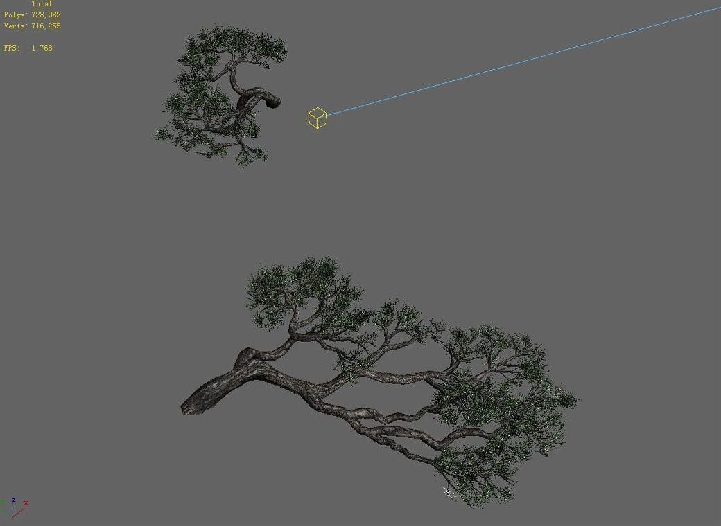 Acacia - Pine - Foliage 01 3D model_8