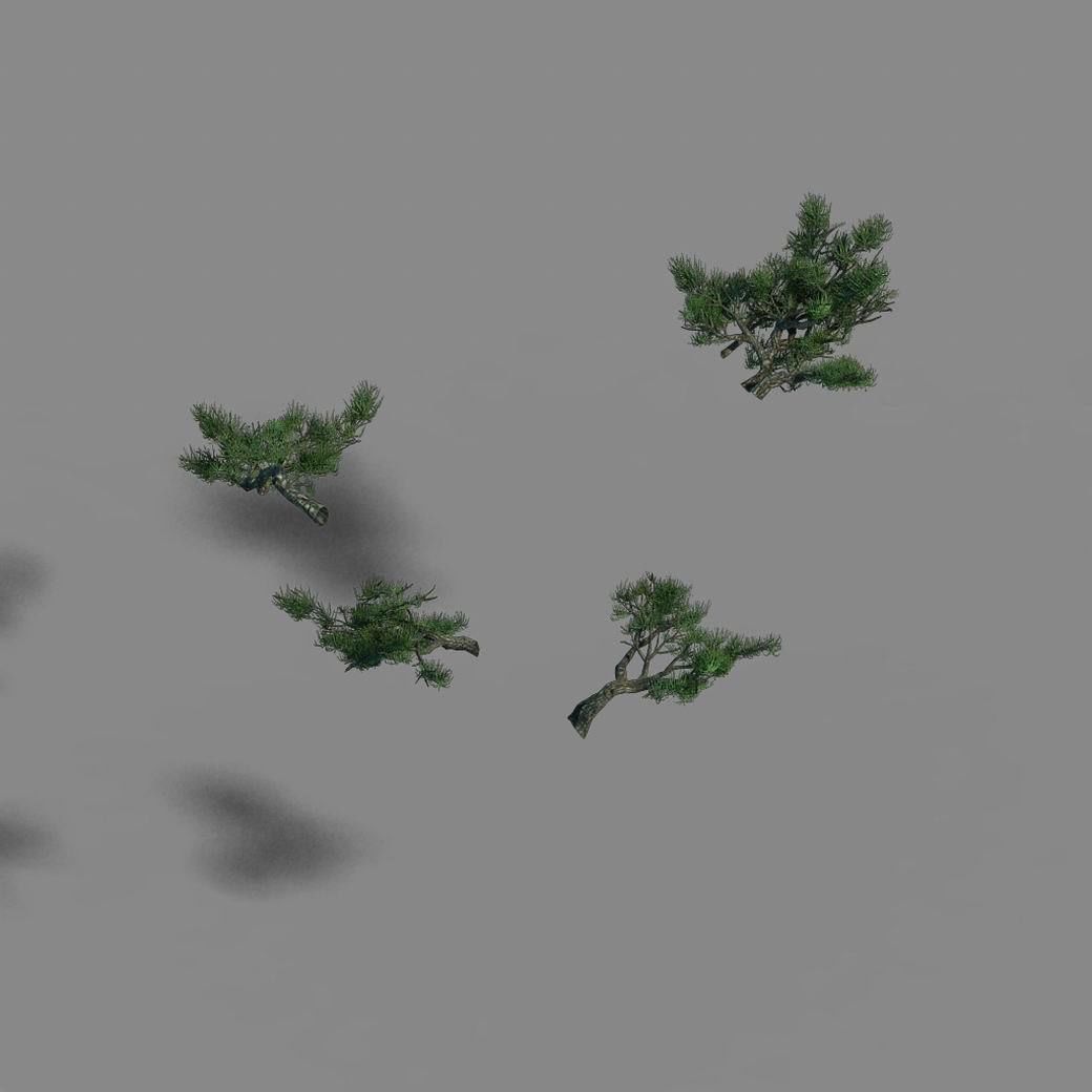 Acacia - pine - foliage 02 3D model_1