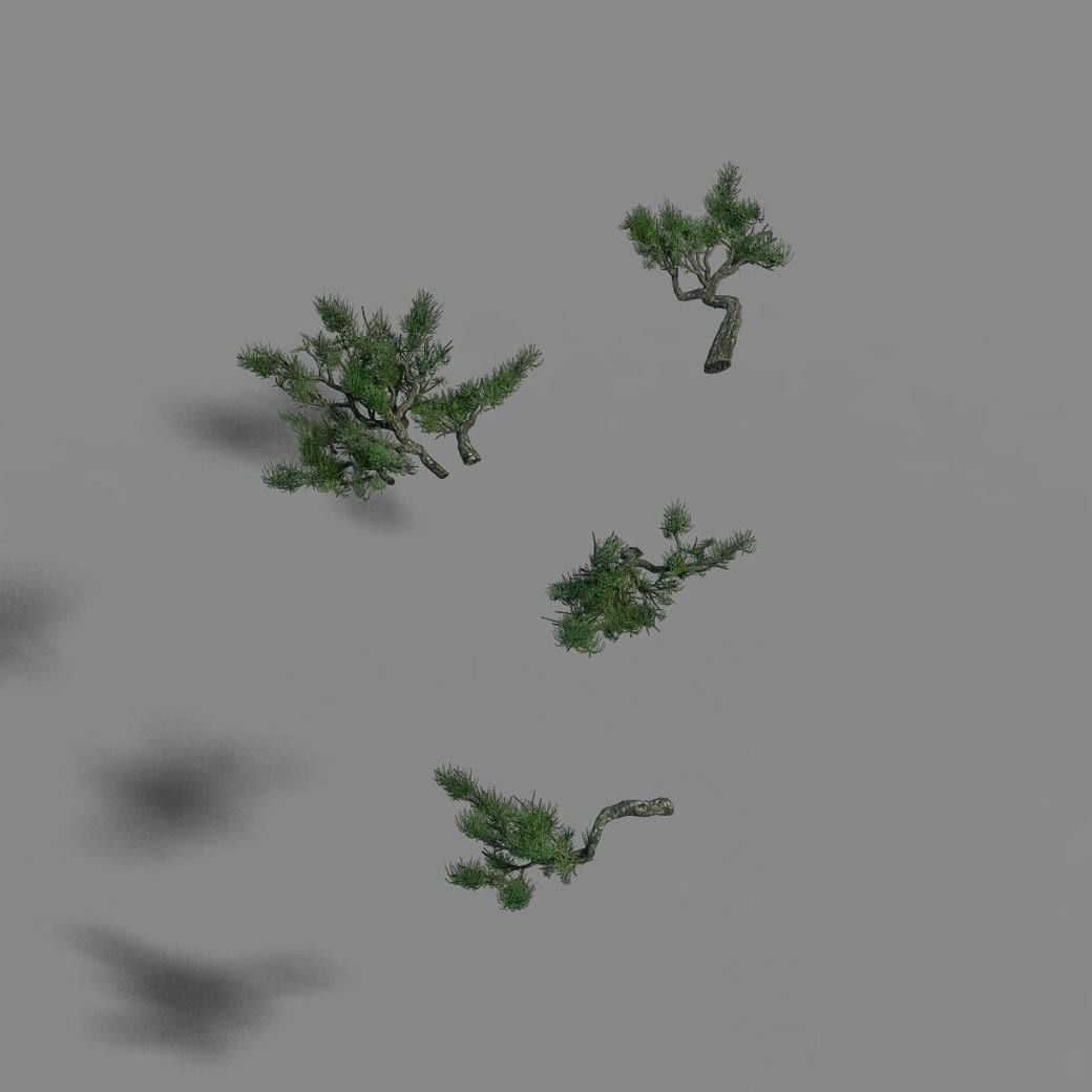 Acacia - pine - foliage 02 3D model_6