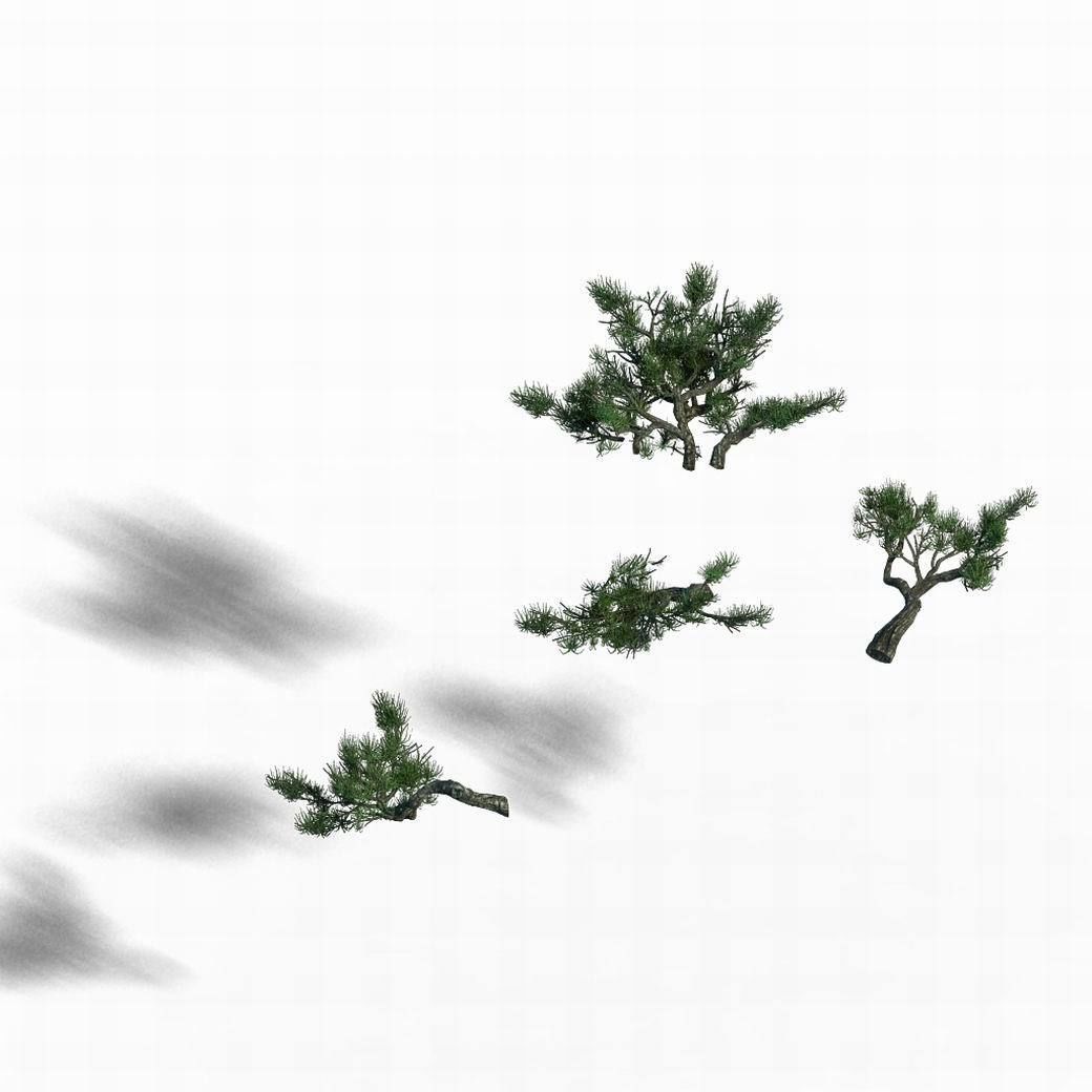 Acacia - pine - foliage 02 3D model_7