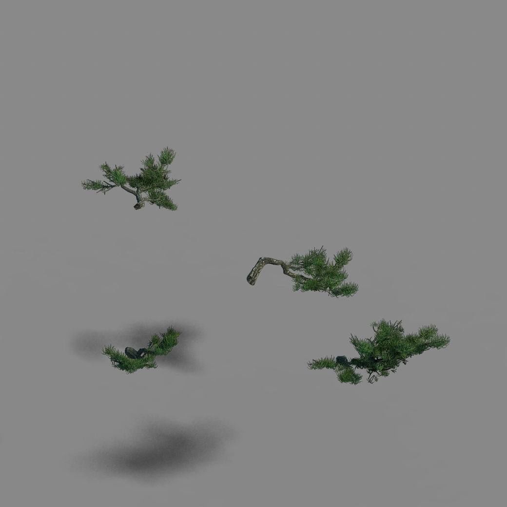 Acacia - pine - foliage 02 3D model_3