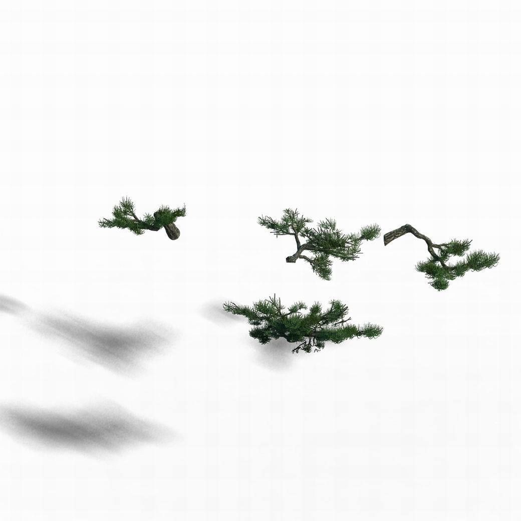 Acacia - pine - foliage 02 3D model_2