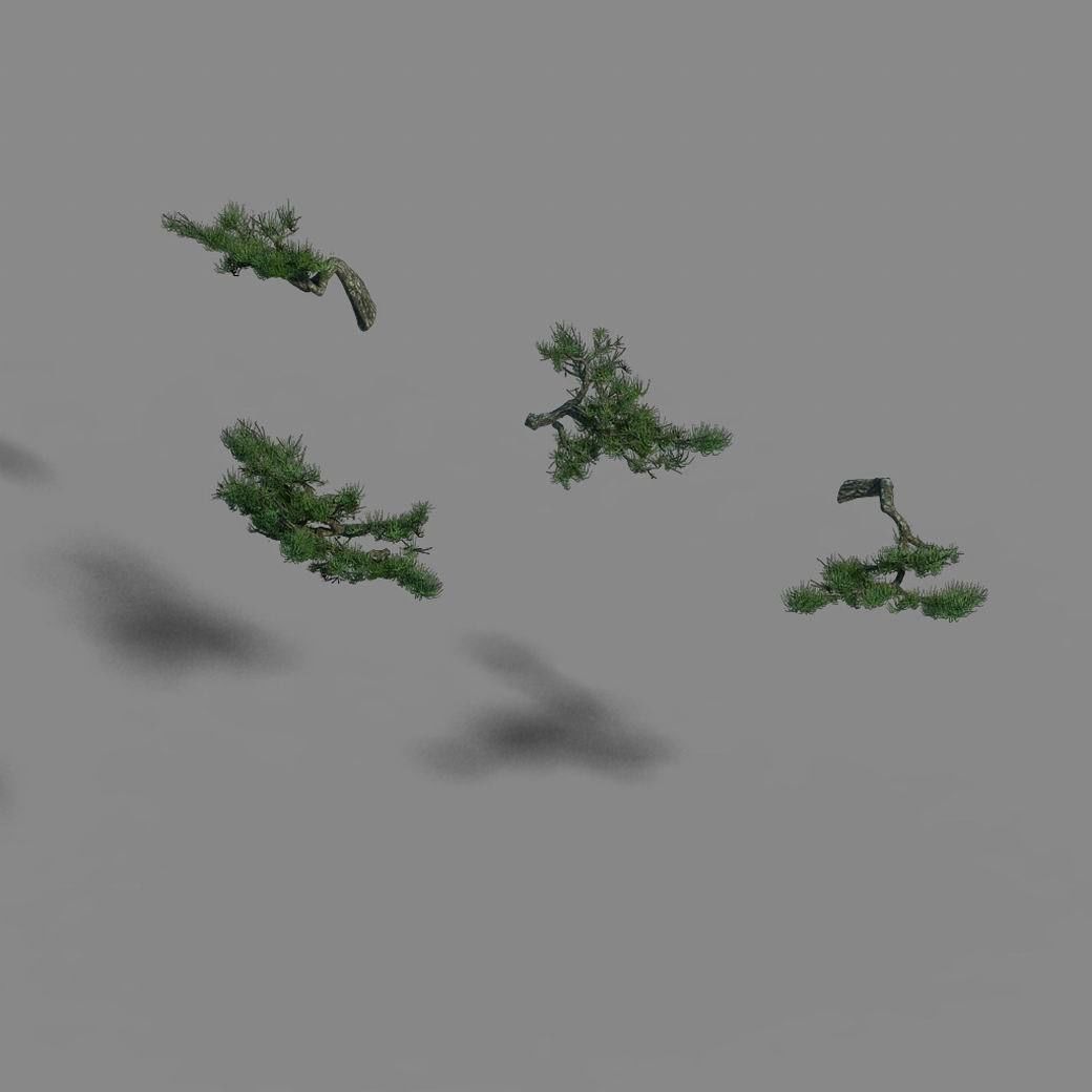 Acacia - pine - foliage 02 3D model_4