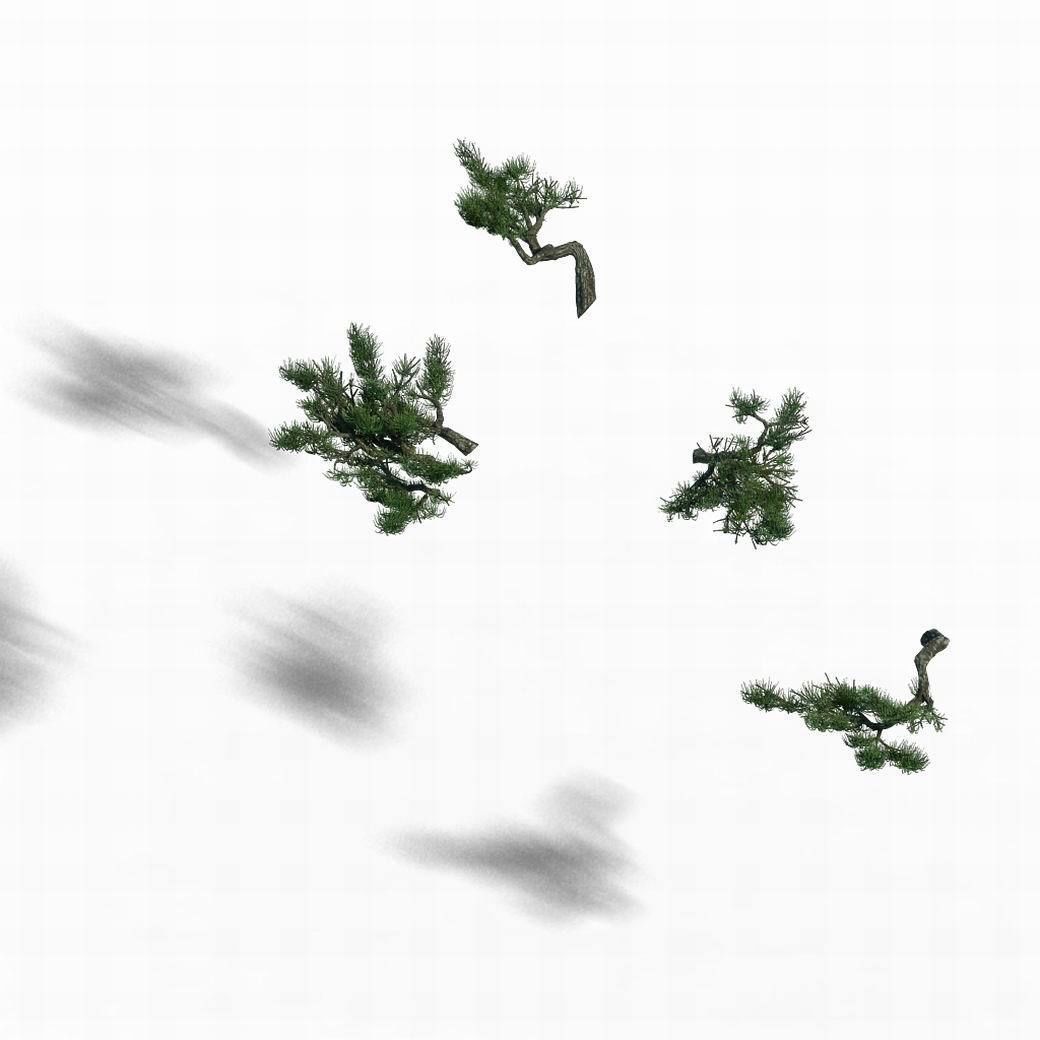 Acacia - pine - foliage 02 3D model_5