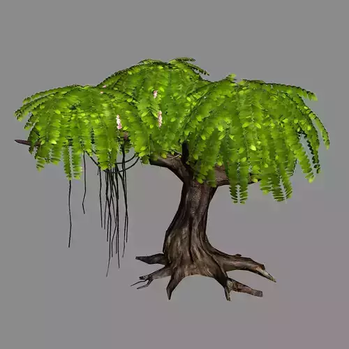 River Yangcheng - Huai Tree 01