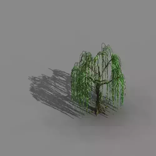 River Yang City - willow 01