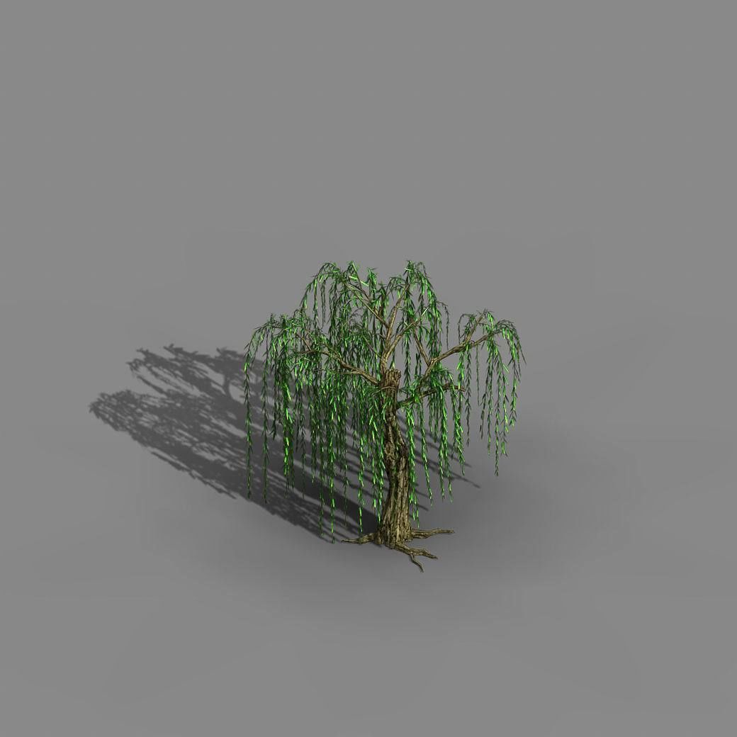 River Yangcheng - willow 02 3D model_1
