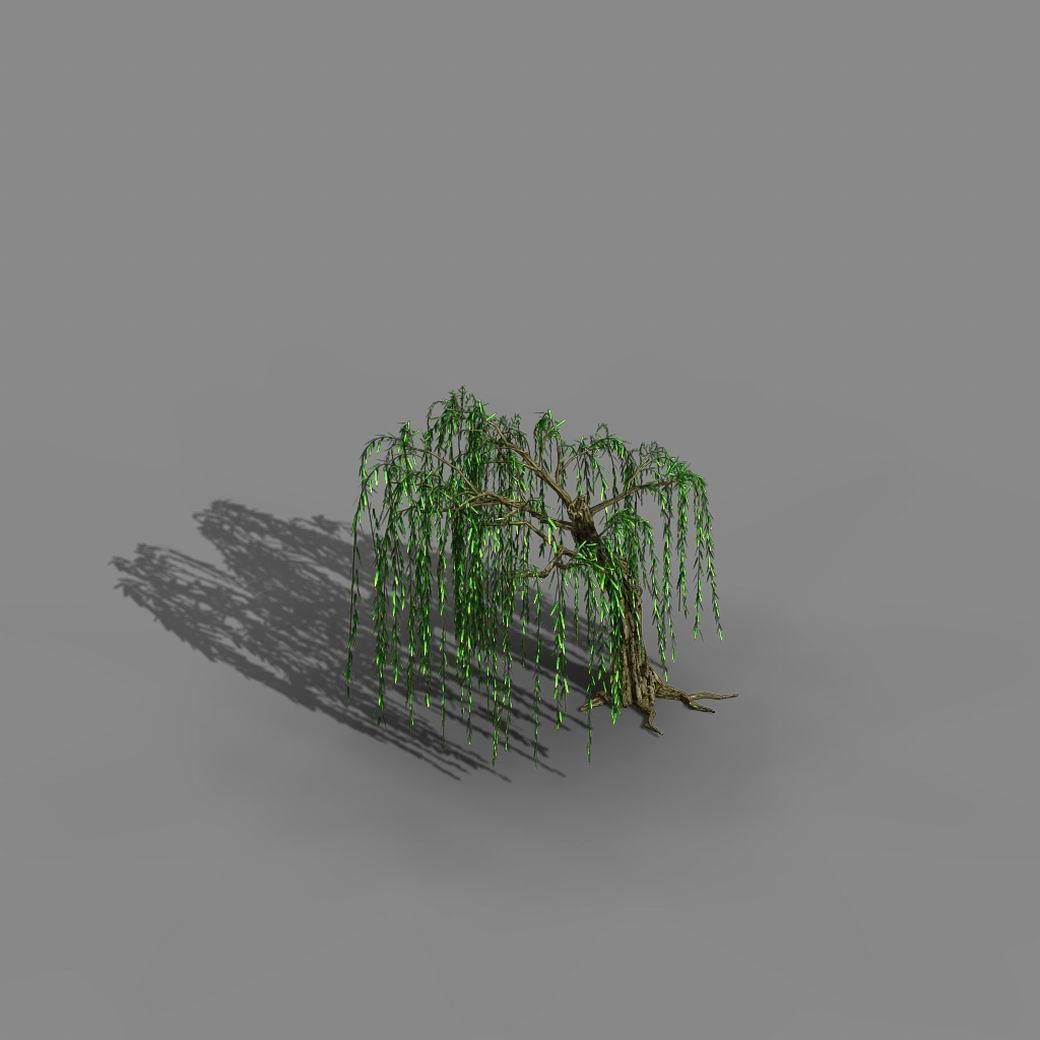 River Yangcheng - willow 02 3D model_6