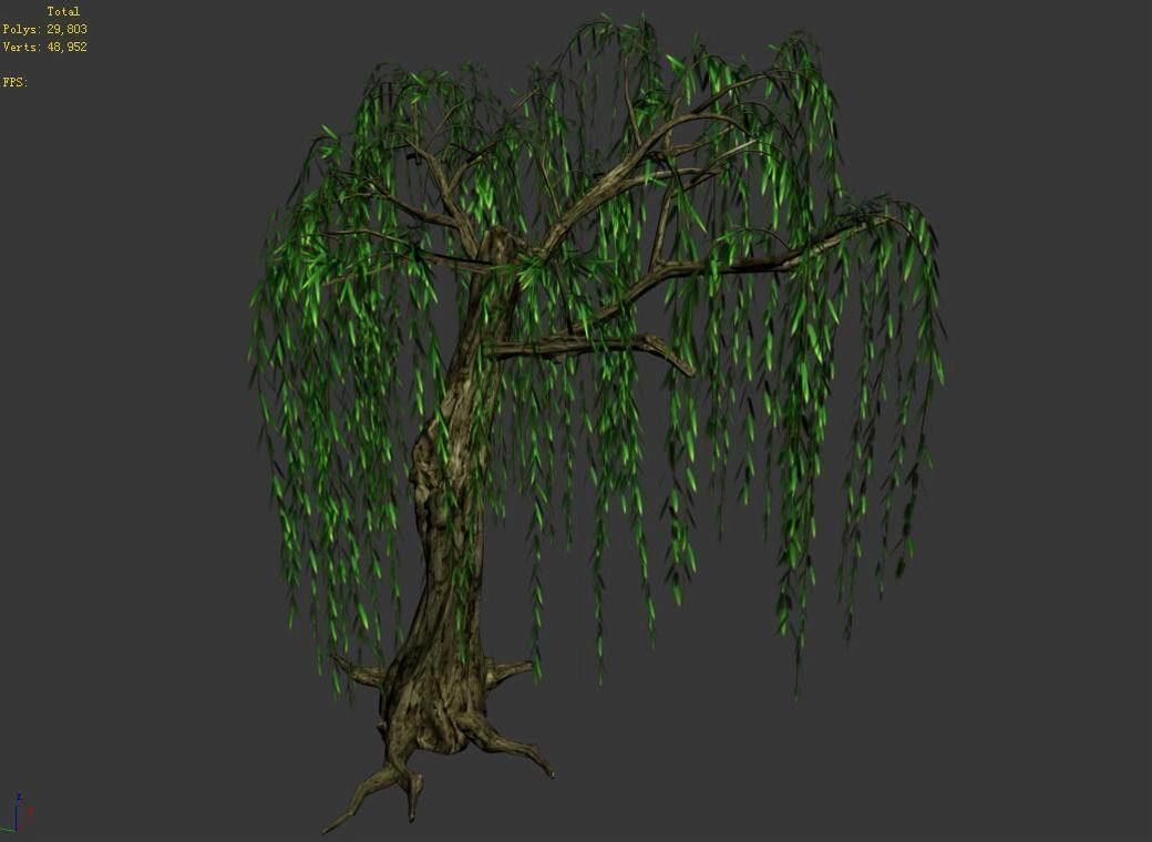 River Yangcheng - willow 02 3D model_9
