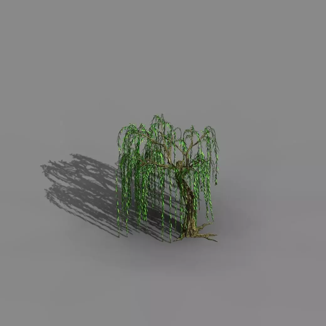 River Yangcheng - willow 02 3D model_0
