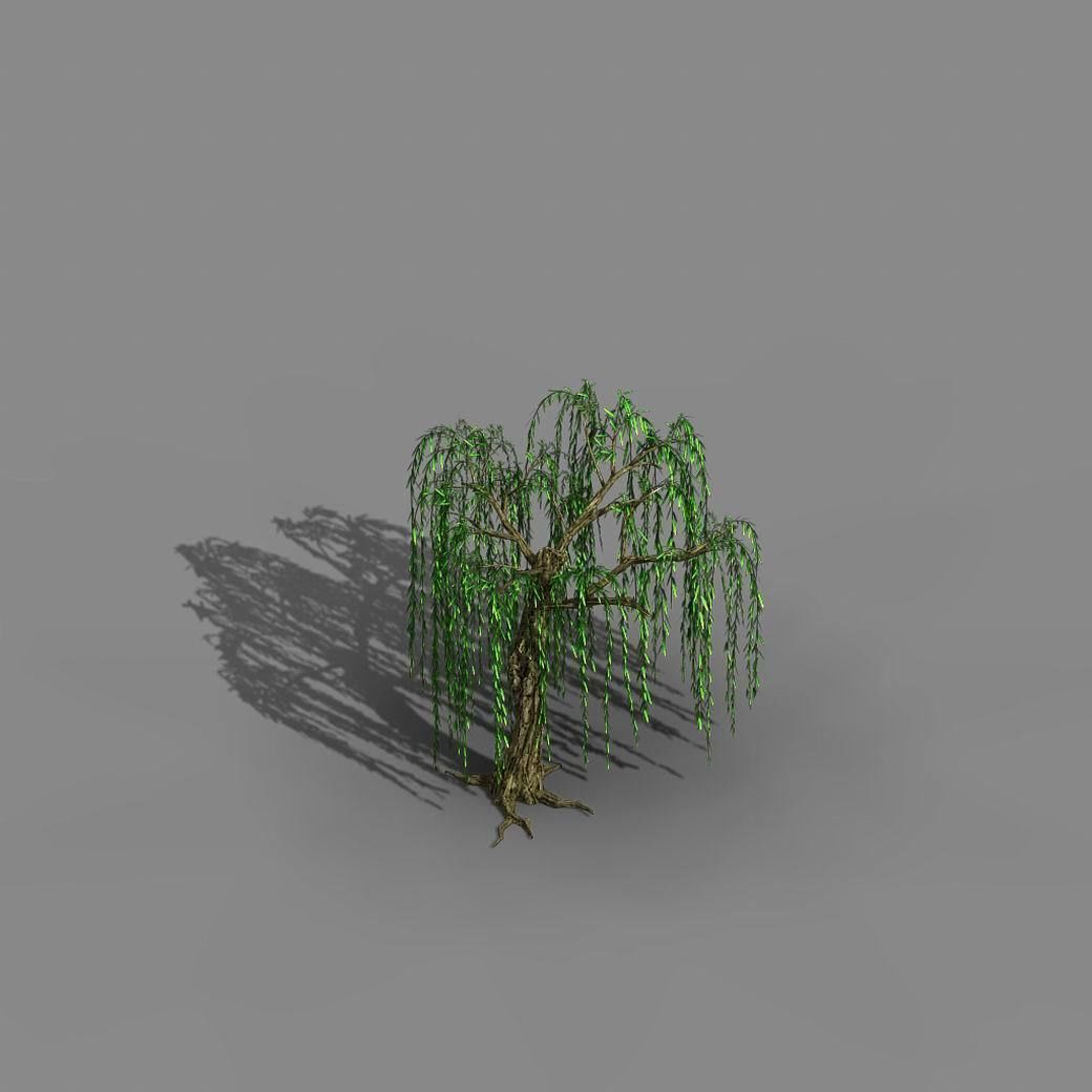 River Yangcheng - willow 02 3D model_3