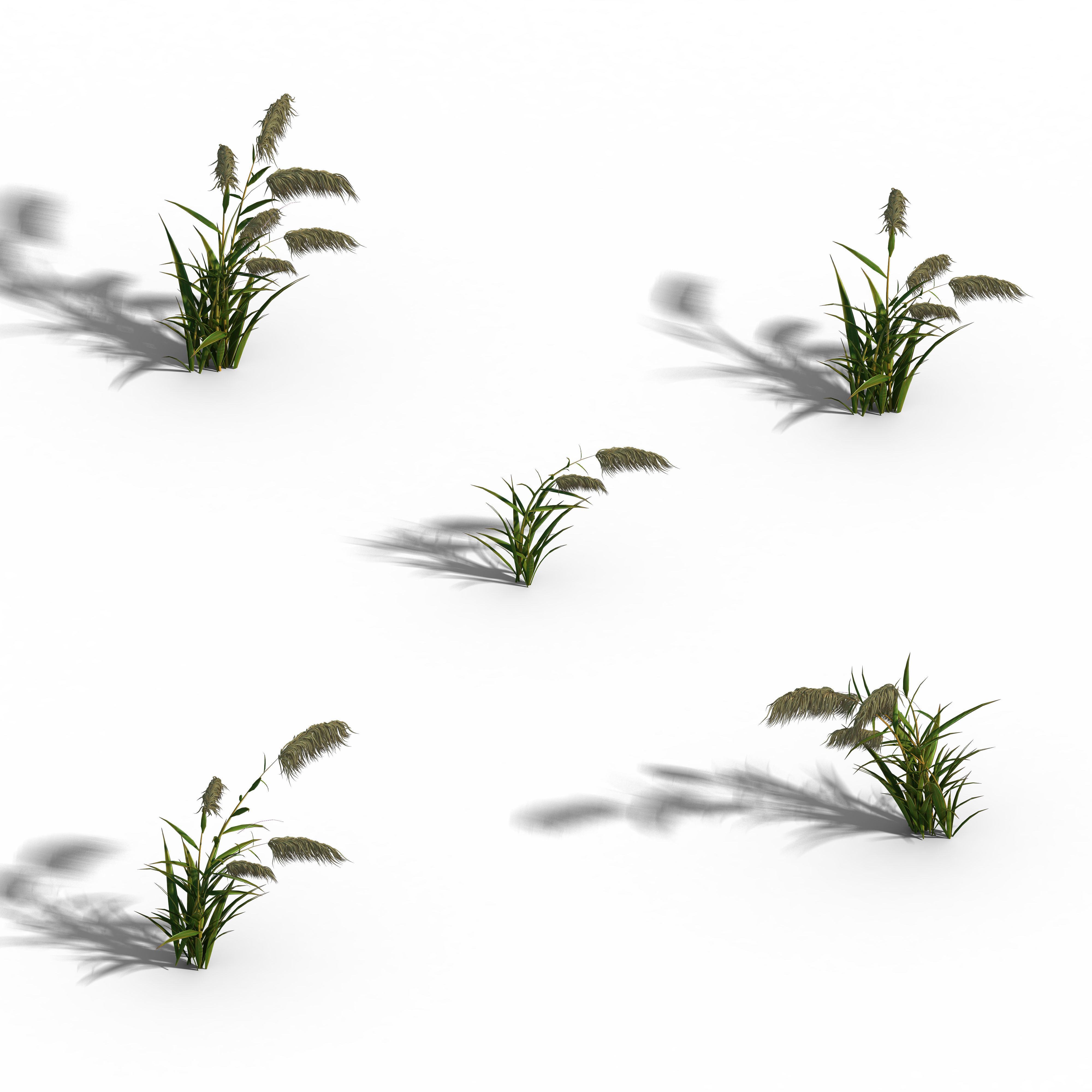 River Yang City - Reed 01 3D model_1