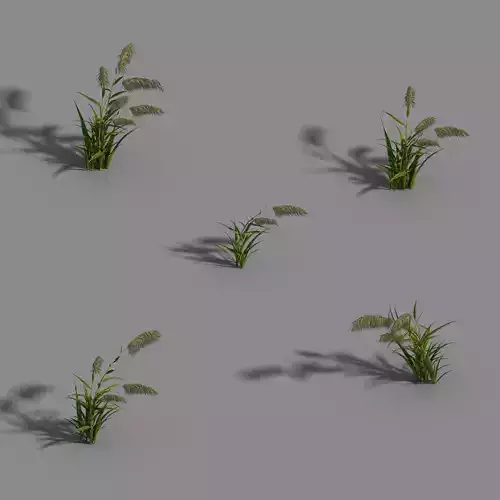 River Yang City - Reed 01