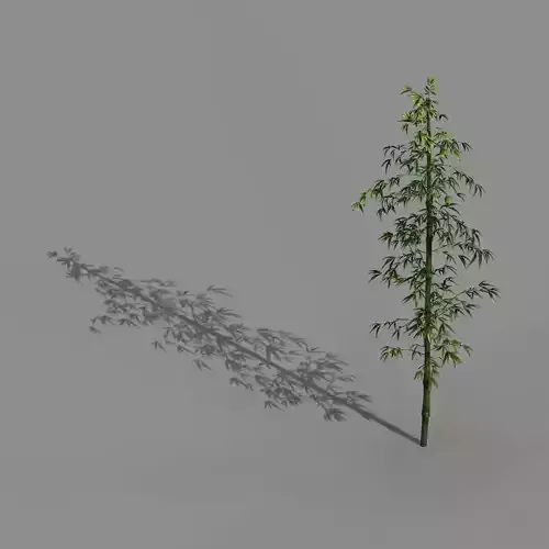 Heyang suburbs - bamboo 01