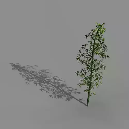 Heyang outskirts - bamboo 02