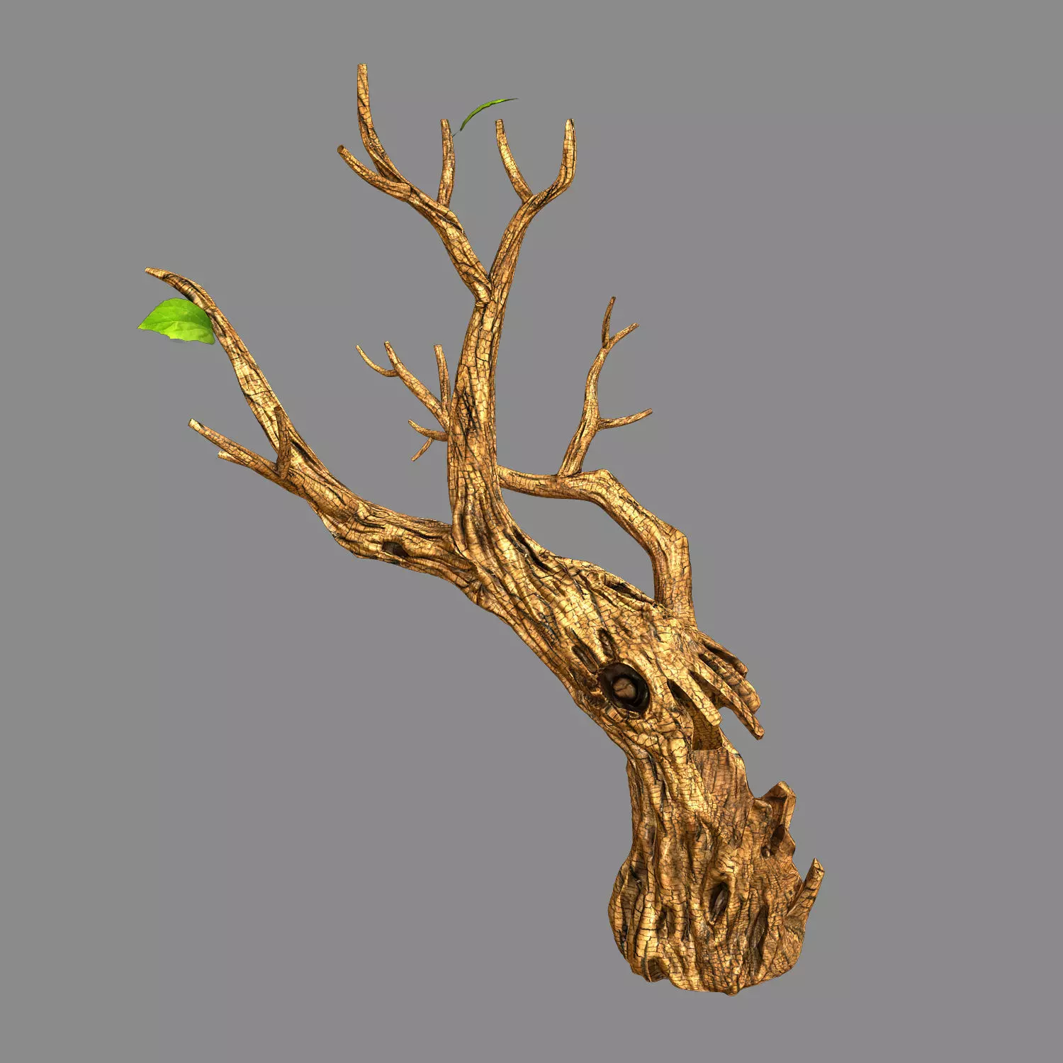 Fox Qishan - ruins film - dry tree 01 3D model