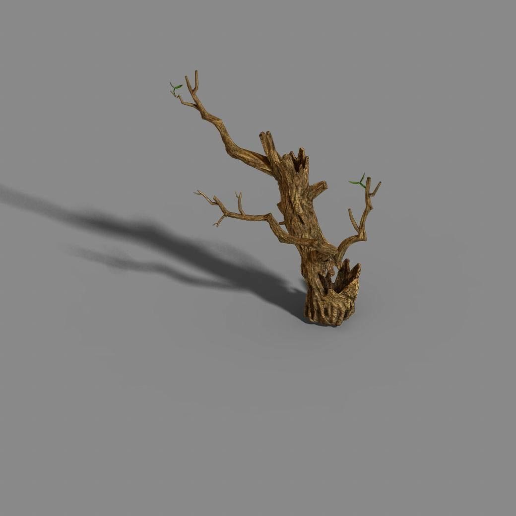Fox Mountain - Crescent Spring - Tree 01 3D model_4