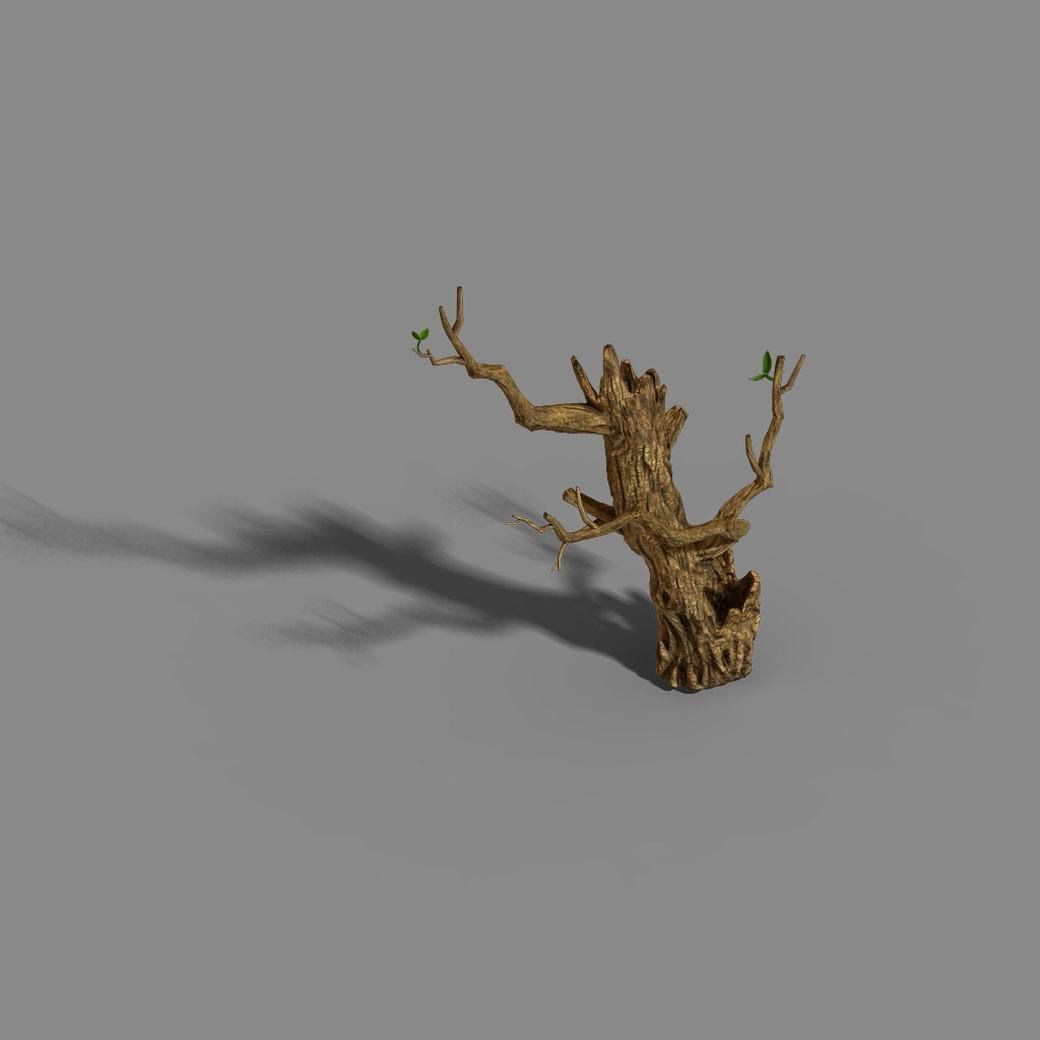 Fox Mountain - Crescent Spring - Tree 01 3D model_6